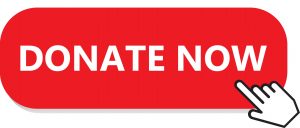 Donate Now button